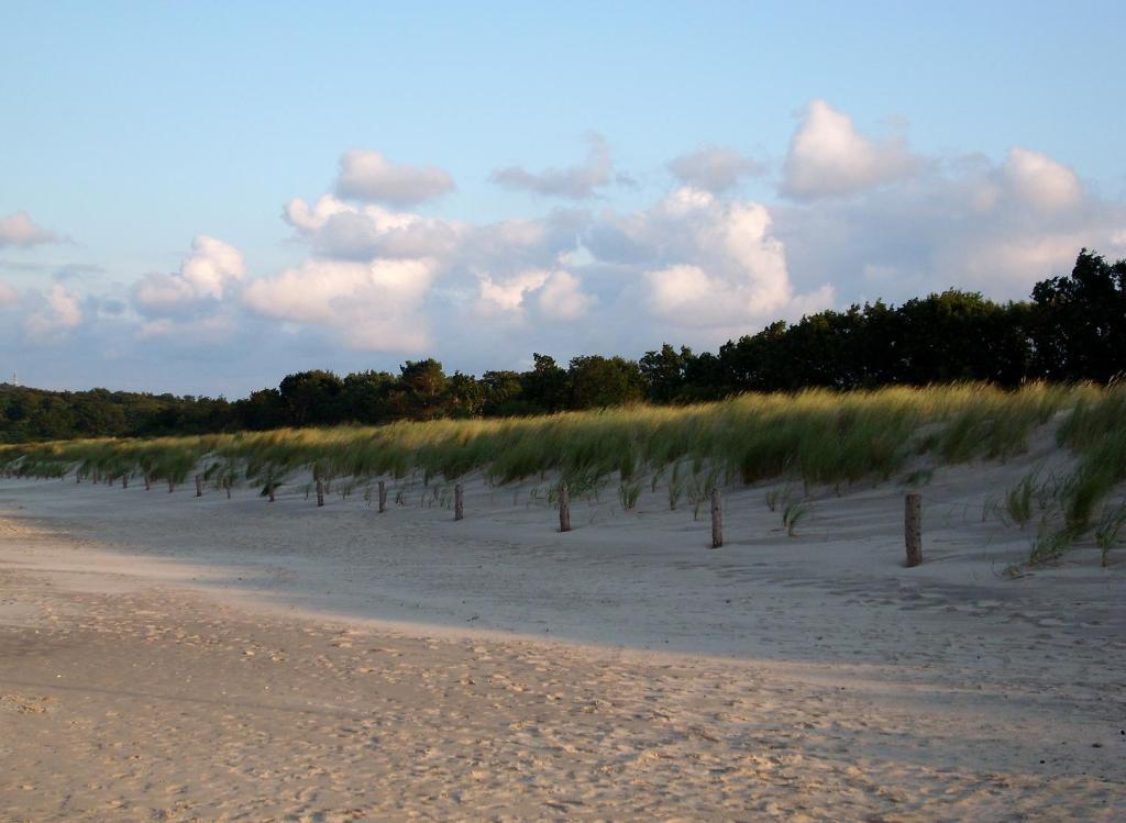 Das Hudewald Hotel & Resort Uckeritz Eksteriør bilde